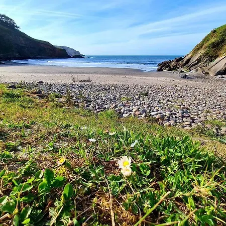 Preciosa Casa Rural + Mascotas + Playa + Montana * ナベセス